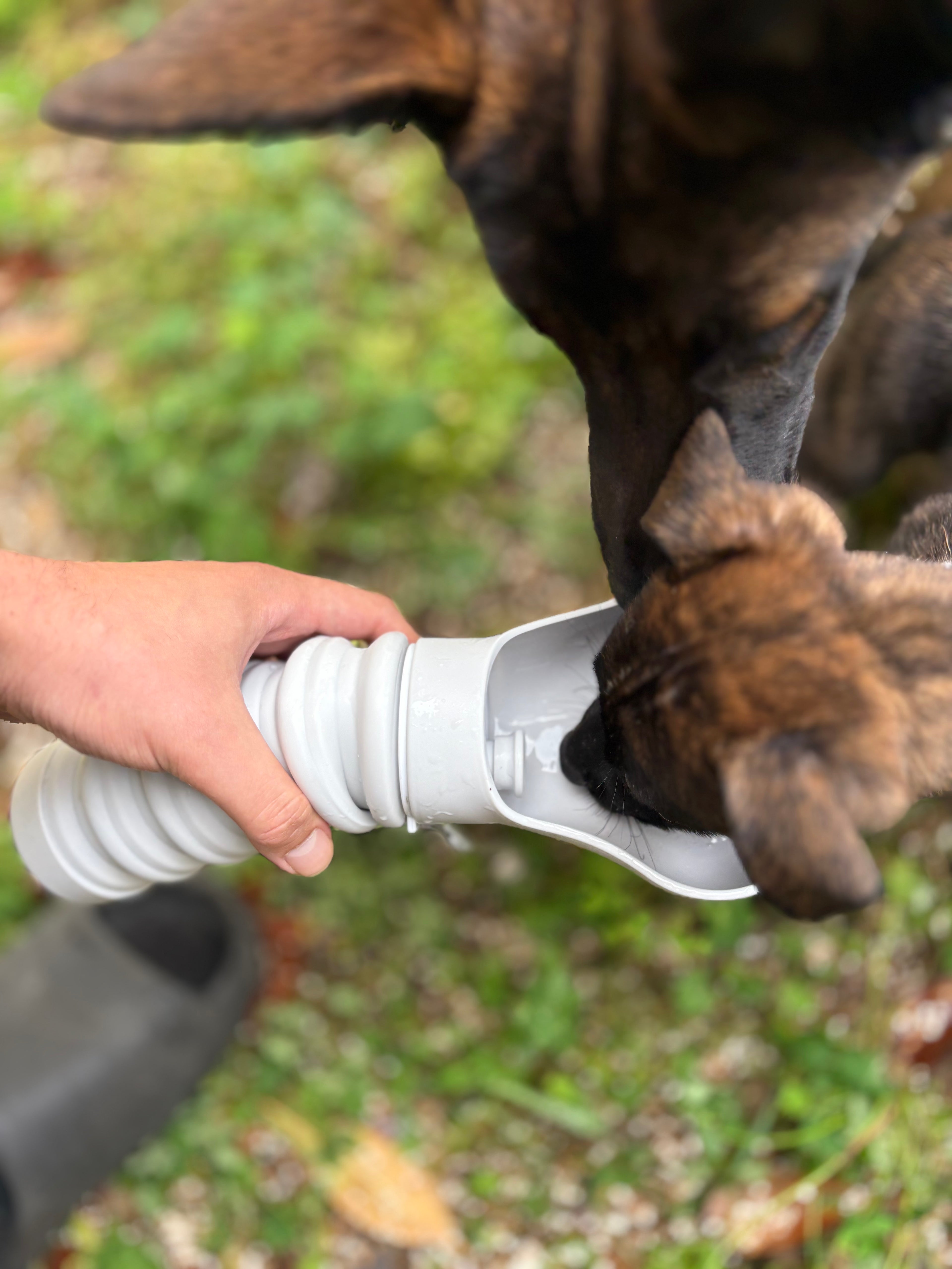 Gourde Portable pour Chien – Hydratation Facile en Balade